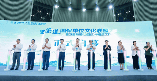 参与万里茶道山西段文物主题游径探秘 看多元活动带您亲历茶铁互市与商道传奇