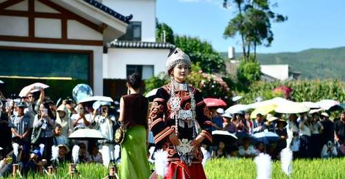 2026凉山火把节会东系列活动启幕 稻田T台之上会东挑花刺绣亮相引观众驻足