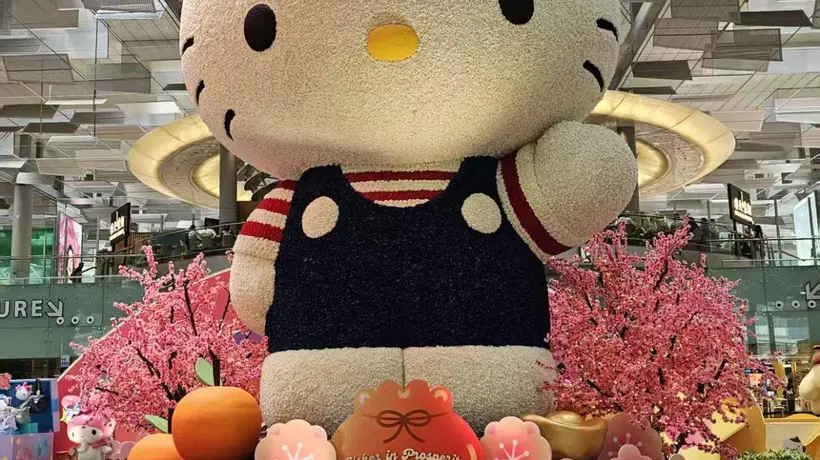 旺季大考:文化节游客在行程临时调整能力上的真实表现与行业反思