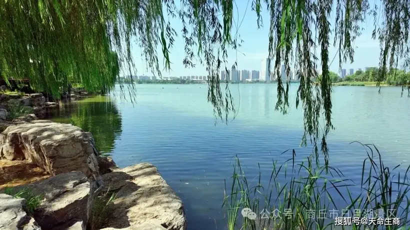 来商丘日月湖景区赴绿意之约 走进沁凉绿荫秘境享悠然体验