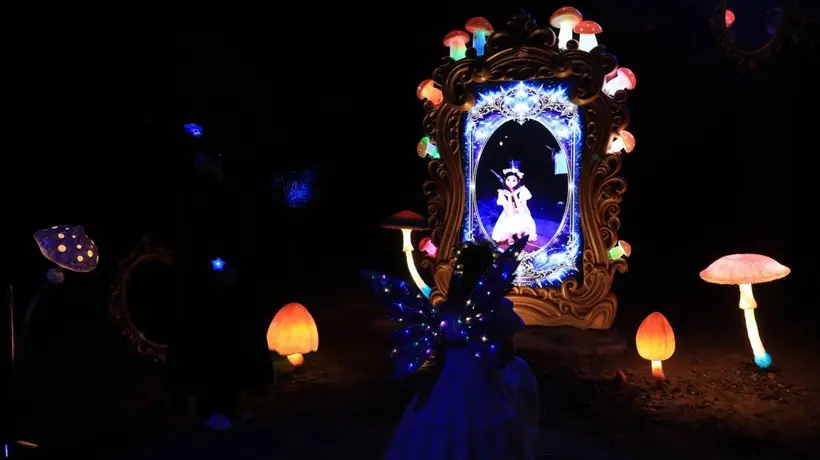 来沈阳植物园森林乐园游乐场抢清凉福利 8月限定免费玩还能逛沉浸式奇妙夜