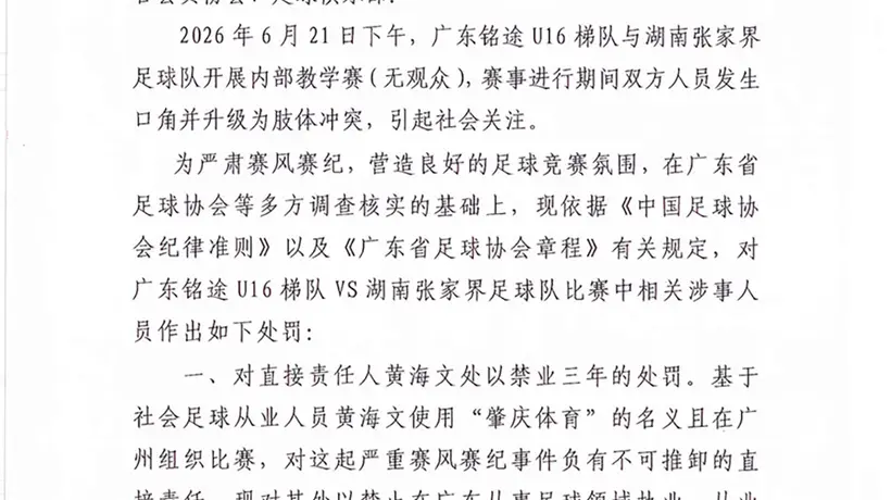 14岁小球员遭张家界足球队殴打,广东足协、湖南足协:多人被处罚