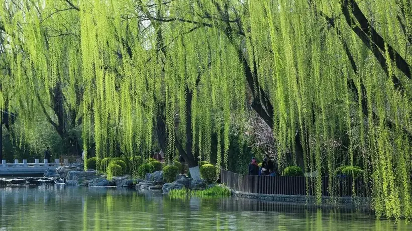 没有朋友圈的古人,怎么和同窗说再见