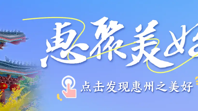 惠聚美好丨惠州夏日限定荷花美景,等你来打卡!