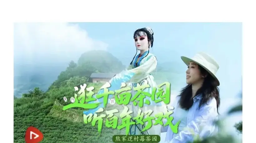 获央视网推介!永定区这几个莓茶园热度爆棚