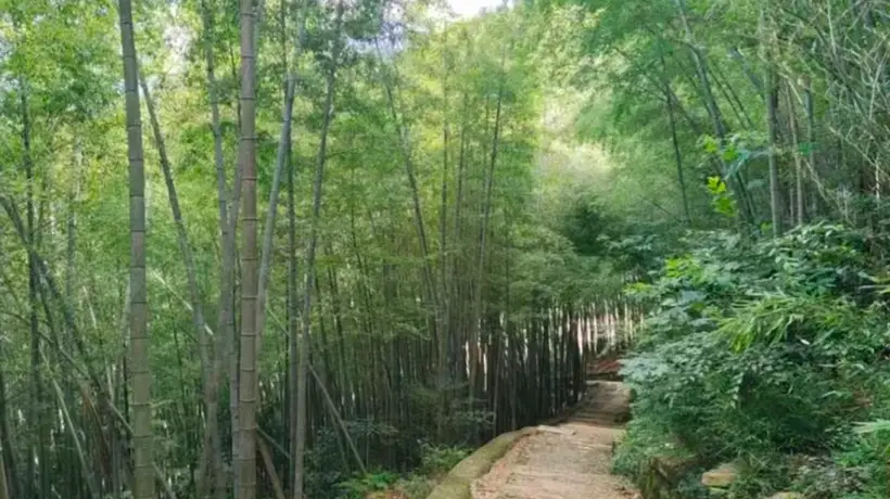 12元/斤,夏日顶鲜!杭州人的餐桌少不了它,吃法毛多嘞!