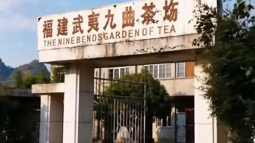 星村茶人:武夷岩茶改革先锋