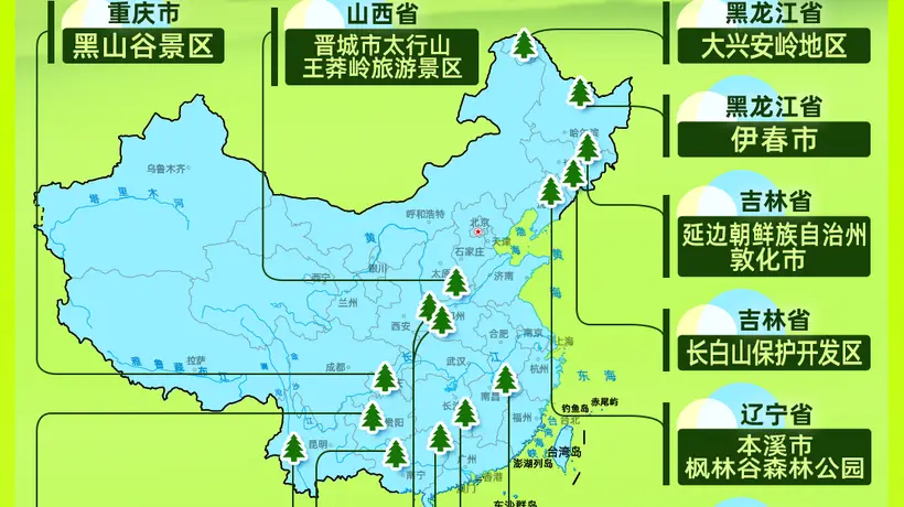 来广西这两个宝藏森林地过夏天!大明山姑婆山等你赴清凉避暑之约