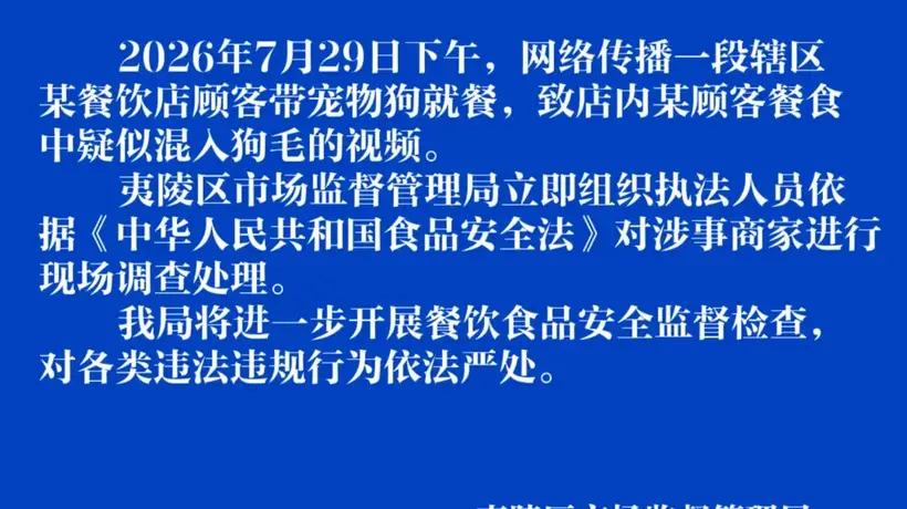 湖北宜昌涉宠物就餐疑似污染餐食 消费者与市场监管部门联动处置现场见闻