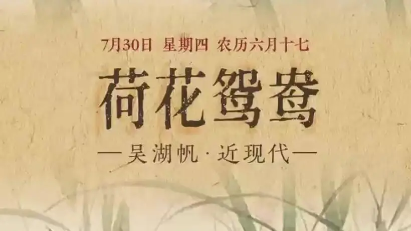 七月三十日来体验《荷花鸳鸯》里的清韵诗意 看荷静鸳双的鲜活场景