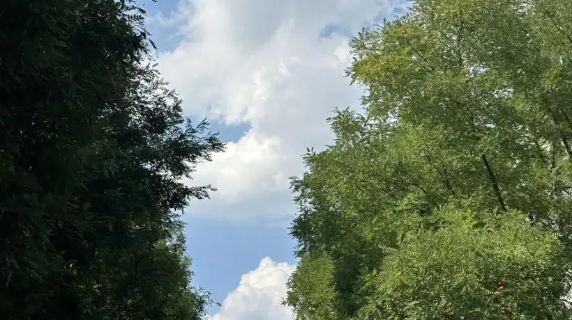 八月这场线下共读活动，等你来赴老友式的轻松相聚
