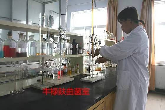 哈尔滨固态酒曲在2026年的变局与机遇——肇东丰禄酵母的实践