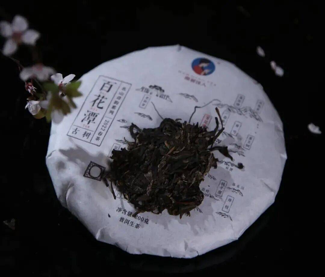 南茗佳人|新茶和老茶该怎么选？
