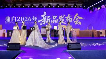 2026鼎白第五届藏茶节圆满收官,共鉴鼎白茶健康养生价值
