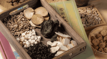 天麻酒——寻常日子里的一点仪式感