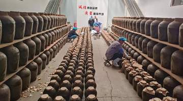 正宗即墨传统老酒厂家推荐从原浆理念和厂区底子看工艺
