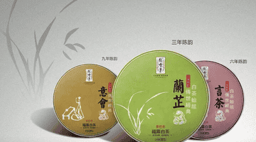 绿雪芽与福鼎白茶的产地情缘:百年传承与品质坚守