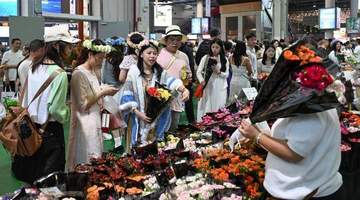 暑期去云南斗南花市逛热闹活动 游客亲手挑选心仪鲜花好开心