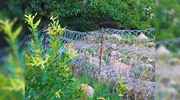 泰山景区：设刀片刺网是为保护驴友