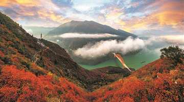 巫山 一座山水小城的文旅“破圈”密码