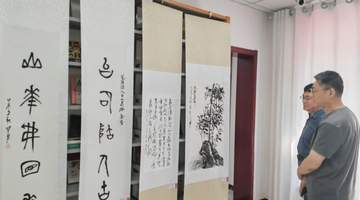 “穆如清风”仝其勇书画作品展聊城开展