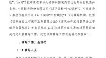 长江存储31人IPO“辅导天团”亮相,两券商同时押中“双子星”