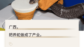 被冲毁的广西养蛇场,藏着500亿的大生意