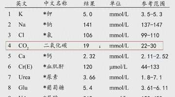 肾友别乱戒主食!吃太少真的会加速肾衰