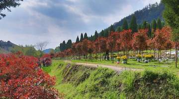 “动了风水,家里要遭灾”?在田间地头迁坟,到底有多难