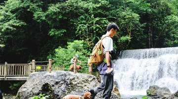 西岭雪山后山半山对宠物正式开放