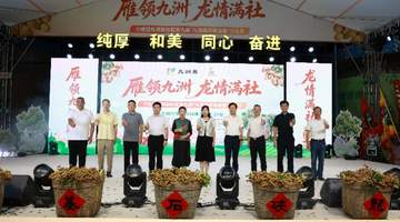 中山小榄启动“龙眼文化节”,万人参与“石硖龙眼宴”