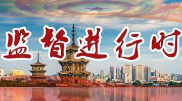 重点建议督办助力千年石亭绿茶焕发新生机