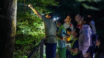 香山奇妙夜,寻访“山林夜客”!北京夏夜好去处