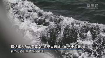 戈雷岛：大西洋上的奴隶历史遗址