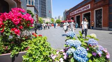 来上海参与大展观剧听乐逛园,还有这份2030文化规划等你来解锁