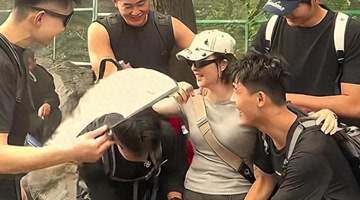 泰山陪爬变味:颜值比拼压过专业能力,游客下单先看腹肌照