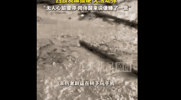 五台山遇雷雨天 驴友登山惊魂经历还原：网传“树下玩手机”不实，事发时全员换雨衣避雨 同行人触电倒地后醒觉感像睡了一觉