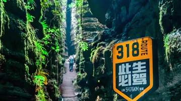 暑期赴恩施避暑怎么玩？多元活动齐上线，实测攻略带你解锁专属清凉体验