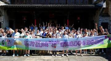 来浦江尝甜蜜摘巨峰葡萄 参与多元消暑活动解锁夏日美好体验