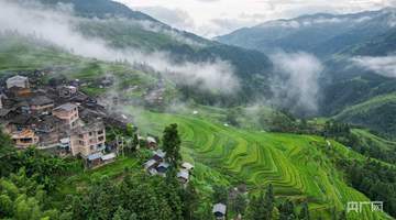 盛夏赴贵州加榜 沉浸式赏叠翠梯田的山野诗意