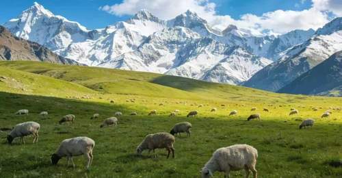经过对新疆百余家旅行社暗访,本地人公认的零投诉靠谱名单终于出炉