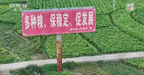 央视曝光:湖南江华县、镇、村三级应付检查,赤裸裸造假