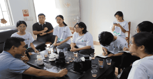 深山好茶如何走出山？岭南师院学子调研江林茶 为非遗茶品牌振兴献青春智慧