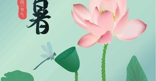 大暑早餐推荐：清爽养胃4款食谱，吃出满满活力！