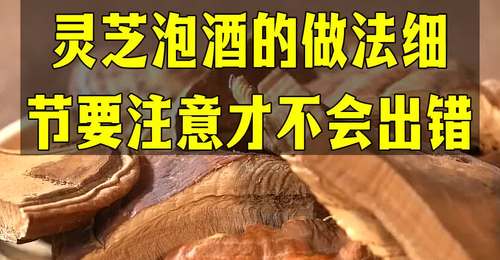 参与自制灵芝泡酒的你,这些细节要记牢,别随意加配料出错哦