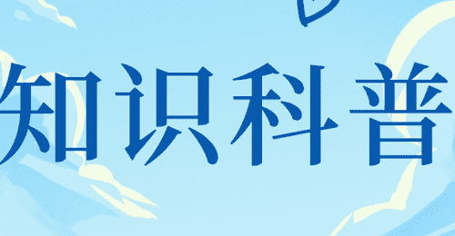 试管婴儿助孕全流程中,准爸爸要做的那些事——从饮食作息到情绪陪护与就诊准备全指南