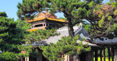 暑期逛沈阳清凉游 多元活动陪你解锁3天2晚避暑新体验