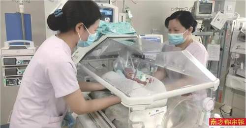 650克“巴掌宝宝”闯关85天“通关”