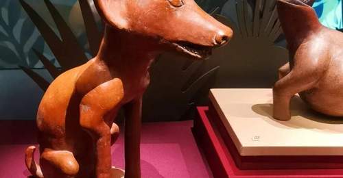 申一涵分享:《玉米·黄金·美洲豹——玛雅与安第斯古代文明大展》18