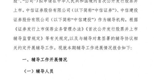 长江存储31人IPO“辅导天团”亮相,两券商同时押中“双子星”